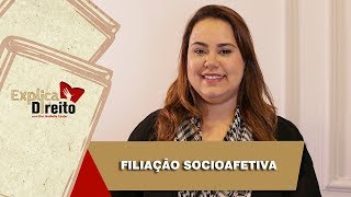 Explica Direito Filiação Socioafetiva  2019 [upl. by Onilecram]