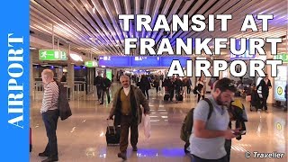 TRANSIT WALK AT FRANKFURT Airport FRA Terminal 1  Connection Flight Transfer Arriving amp Departing [upl. by Aelaza]